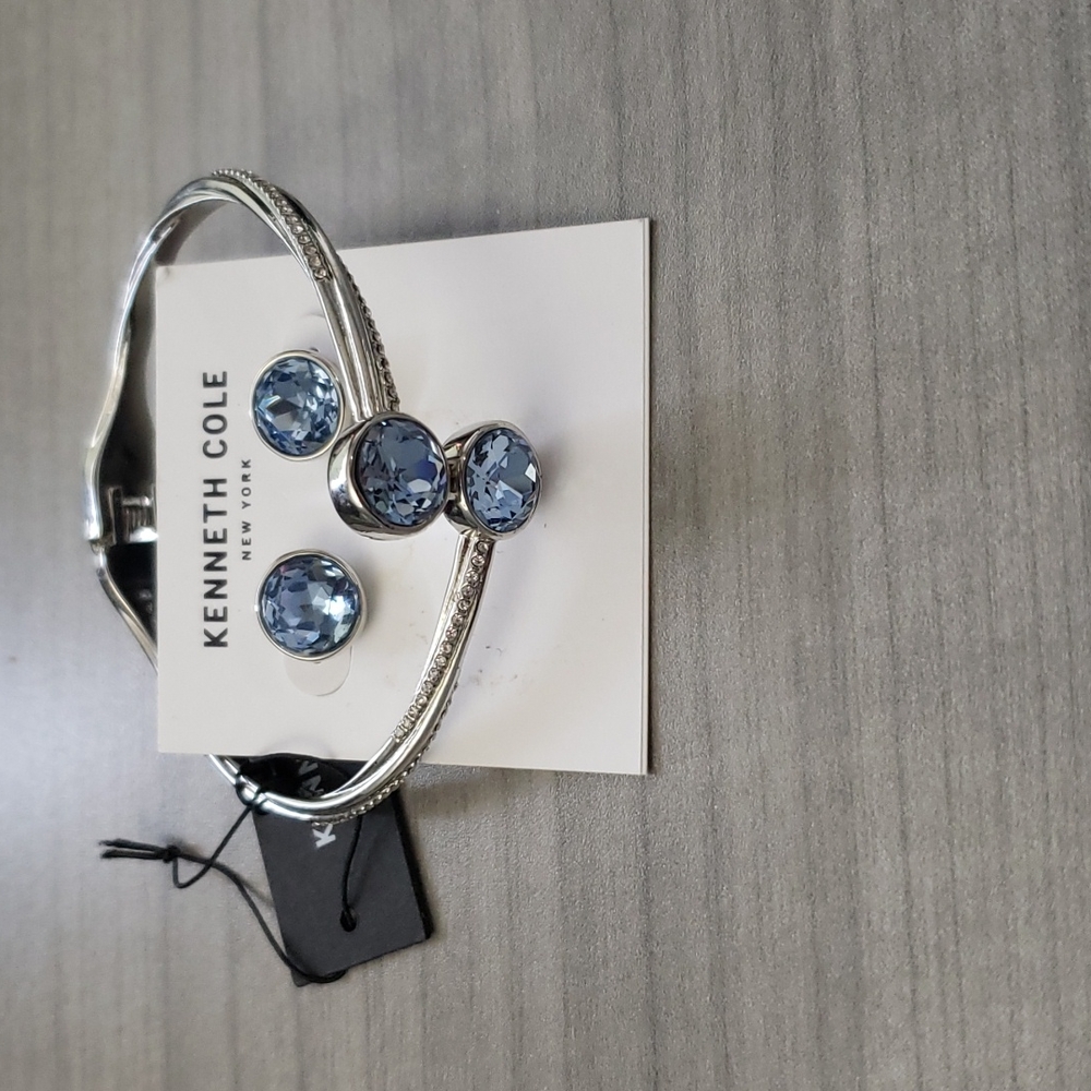 Kenneth Cole Earring & Bracelet Set